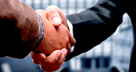 ���ŷ�ϵ�y